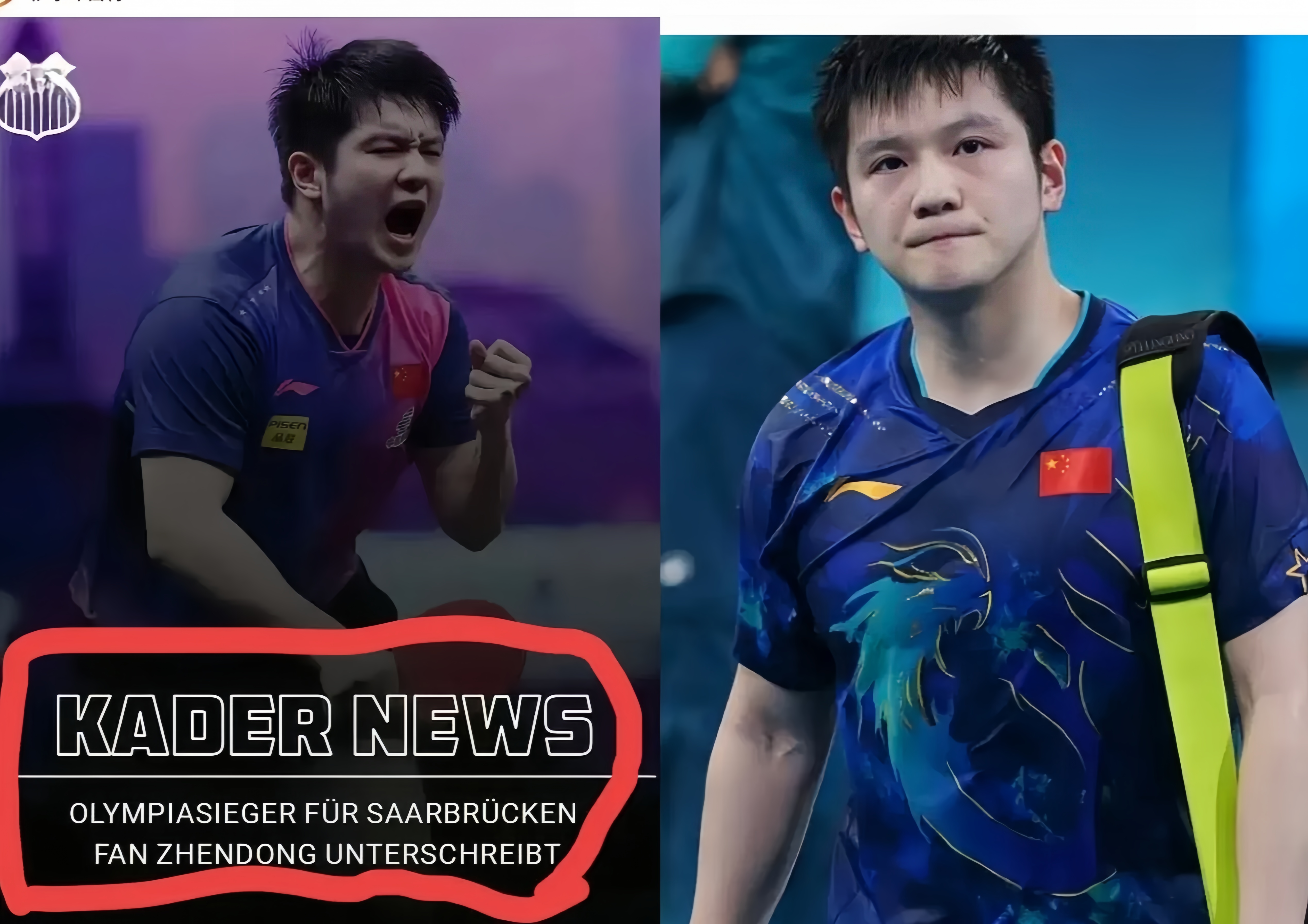 葡萄牙队力克德国队,樊振东状态火热 葡萄牙队力克德国队,樊振东状态火热