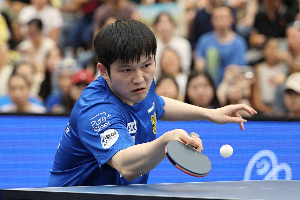 葡萄牙队力克德国队,樊振东状态火热 葡萄牙队力克德国队,樊振东状态火热