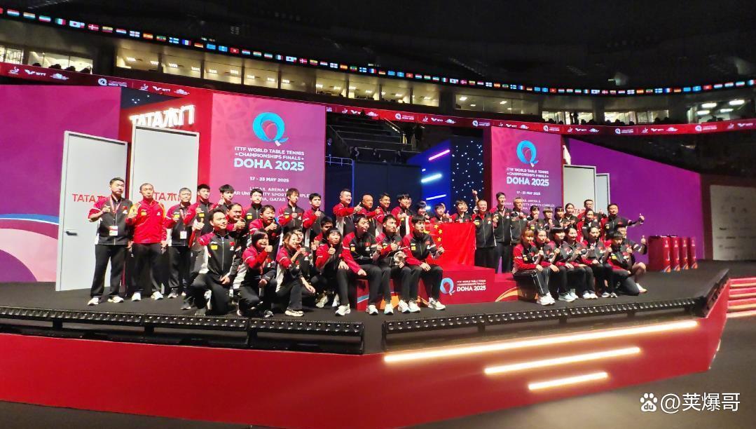 法国队碾压瑞典队,王皓状态火热 法国队碾压瑞典队,王皓状态火热