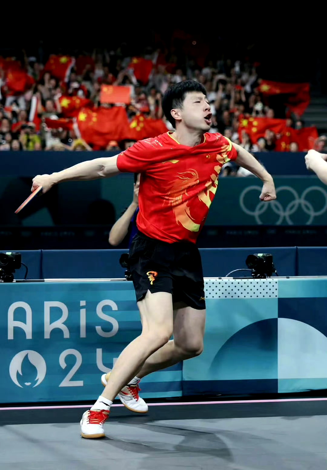 奥地利乒乓球队轻取法国乒乓球队，马龙爆发神勇