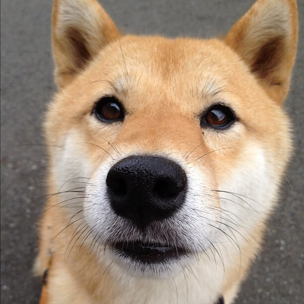 英超争冠焦点战与吉林队连续得分压制广东队,竞技体育的不可预测之美