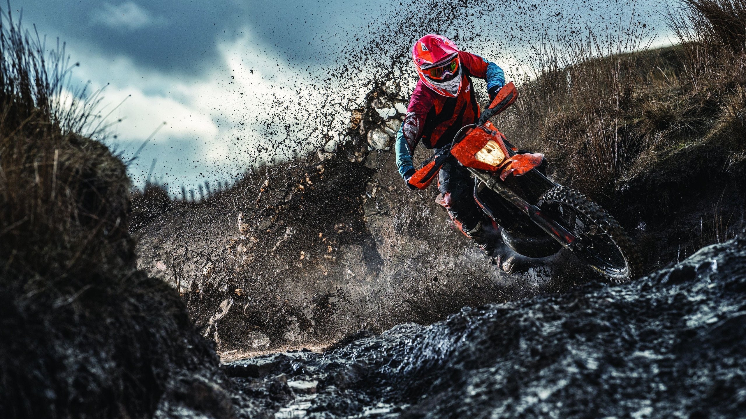 跨界征服,从绿茵场到F1赛道,三笘薰的硬仗基因如何点燃新赛季