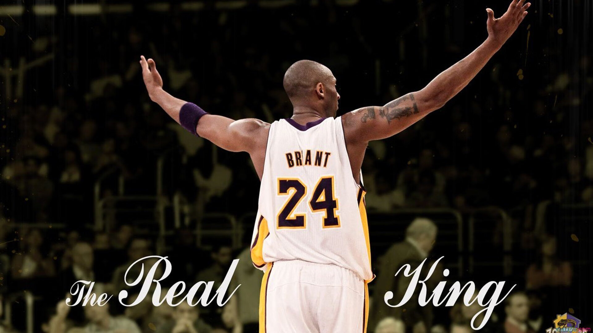 班凯罗惊艳四座,掘金末节带走猛龙,一场天赋与韧性的对话