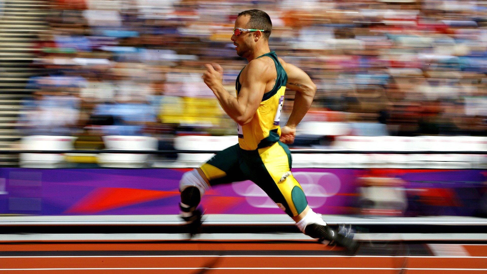 世界排名争夺战焦点战,广东队连续得分压制辽宁队